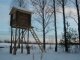 >В Бежецком районе проверили охотничьи угодья: испытания прошли не все 