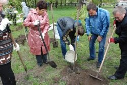 5 октября в Твери появится аллея «95 лет ВЛКСМ» 