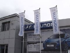 Обманутые покупатели «Hyundai» обратились с просьбой о помощи к Игорю Рудене 