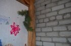 Детсад. В щель влезает сосновая ветка